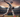 baseball pitcher