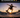 skateboarder