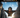 Your Wingsuit Flying Hidden Logo Challenge image