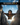 Your Wingsuit Flying Hidden Logo Challenge image
