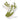 https://jetprint-hkoss.oss-accelerate.aliyuncs.com/merchantUpload/70965/4625cb74321f4817baf26e9d13311dd3.jpg