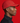 RED WESPORT SPORT CAP