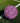 WESPORTNOW TRAINING SOCCER BALL